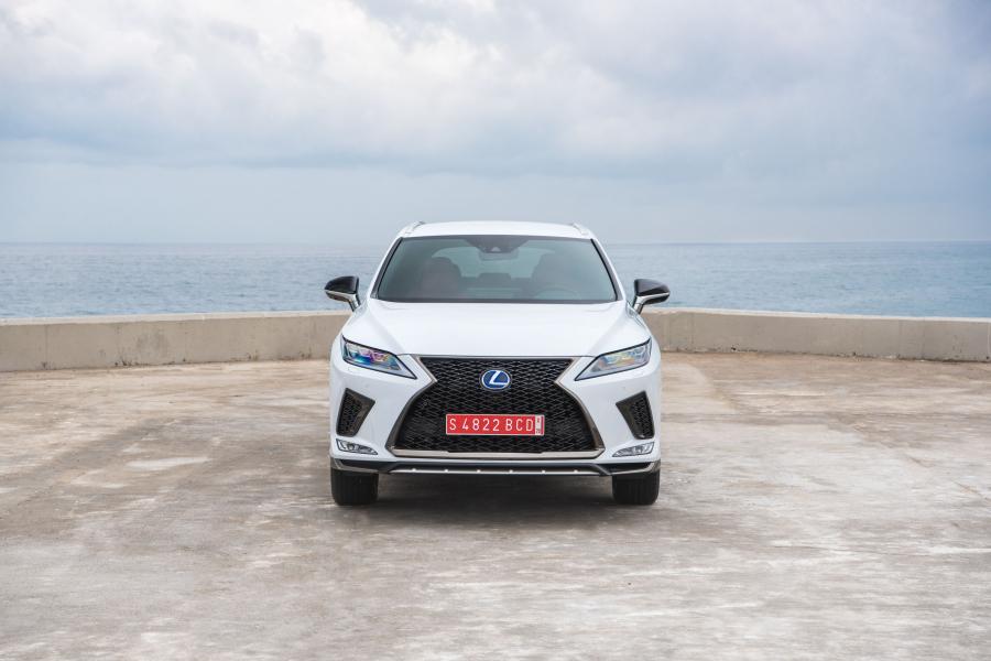  Lexus RX450h F-Sport 2019 года  (WW) (фото 19 из 42)